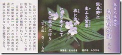 奈良・万葉植物園