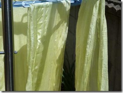 カラスノエンドウで草木染