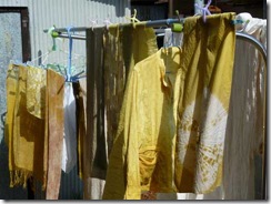 メリケンカルカヤで草木染