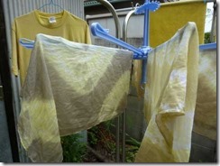 ドクダミで草木染めしたハンカチ