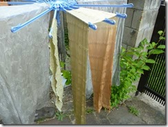 月桂樹と枇杷で草木染め