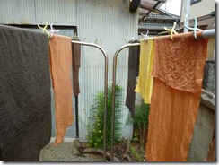 月桂樹と枇杷で草木染め