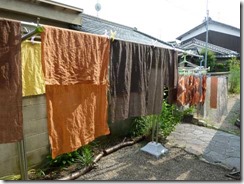 月桂樹と枇杷で草木染め