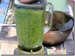 藍の生葉染めの方法３。ミキサー