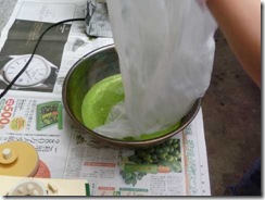 藍の生葉染めの方法５。そこにシルク素材を入れる