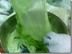 藍の生葉染めの方法６。しばらく揉む（5分程度）