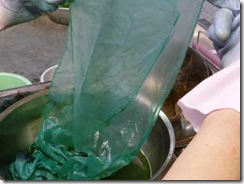 藍の生葉染めの方法６。しばらく揉む（5分程度）