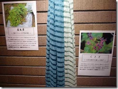 草木染したシルクストール、藍生葉（左）くさぎ（右）