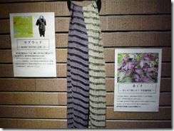 草木染したシルクストール、ログウッド（左）赤じそ（右）