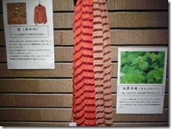 草木染したシルクストール、茜（左）マルバアカソ（右）
