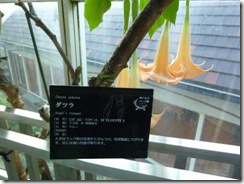 布引ハーブ園の温室