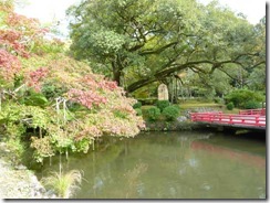 奈良・万葉植物園の真ん中の池と大きな木