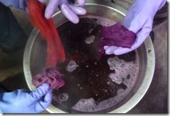 「蘇芳（すおう）」で草木染め中