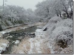 2011年2月14日の京都府井手町玉川堤の雪景色