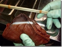 「びわ」で草木染めにしたハンカチ。割り箸絞り。鉄媒染