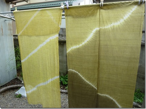 どくだみで草木染、間仕切り、のれん