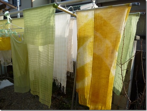 ロウバイで草木染 ロウバイで草木染