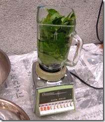 藍の生葉と水を入れミキサーにかける
