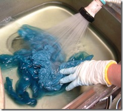 藍の生葉染め、染めて水洗いすると鮮やかなスカイブルー