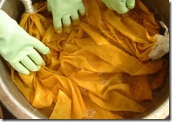 藤で草木染めする