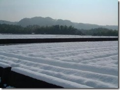 めずらしい井手町の積雪