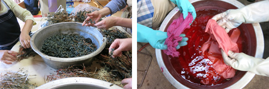 草木染作業風景