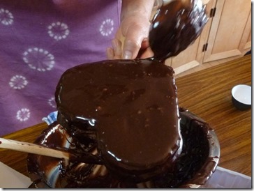 P1050778-2 P1050778-2