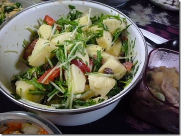 P1050865-2 P1050865-2