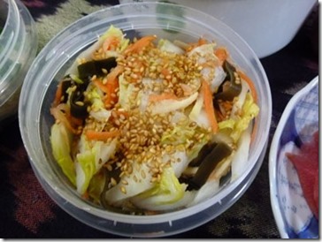 P1050868-3 P1050868-3