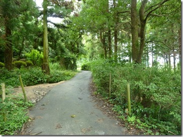 水車小屋跡地周辺＠京都・井手町