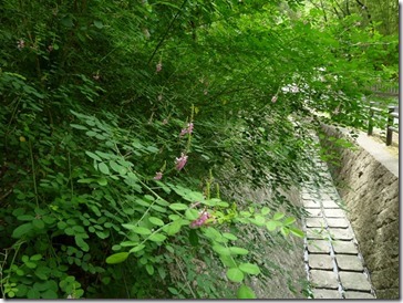 萩＠京都・井手町