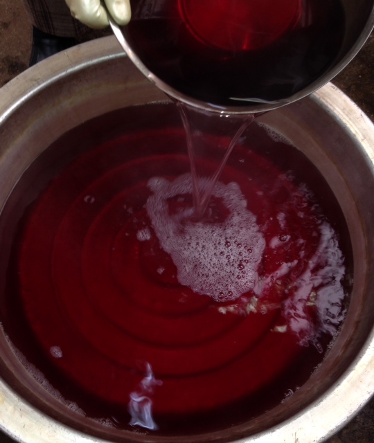 染液はワイン色