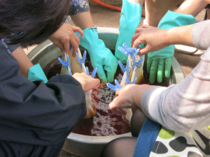 タマネギでシルクストールを染める