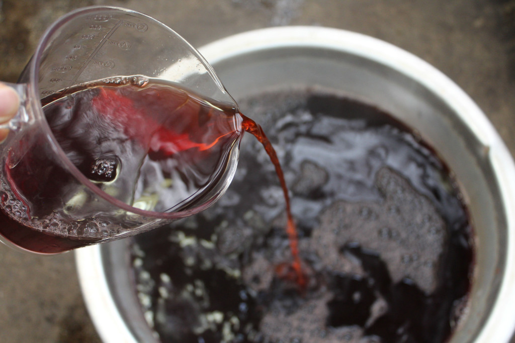 マルバアカソの染液