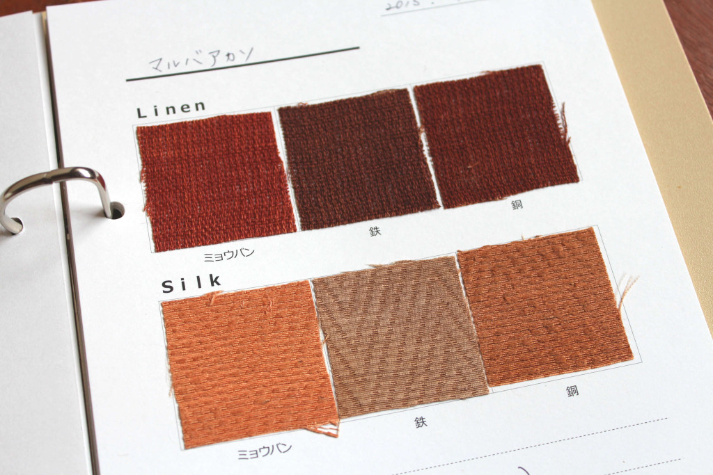 マルバアカソ色見本