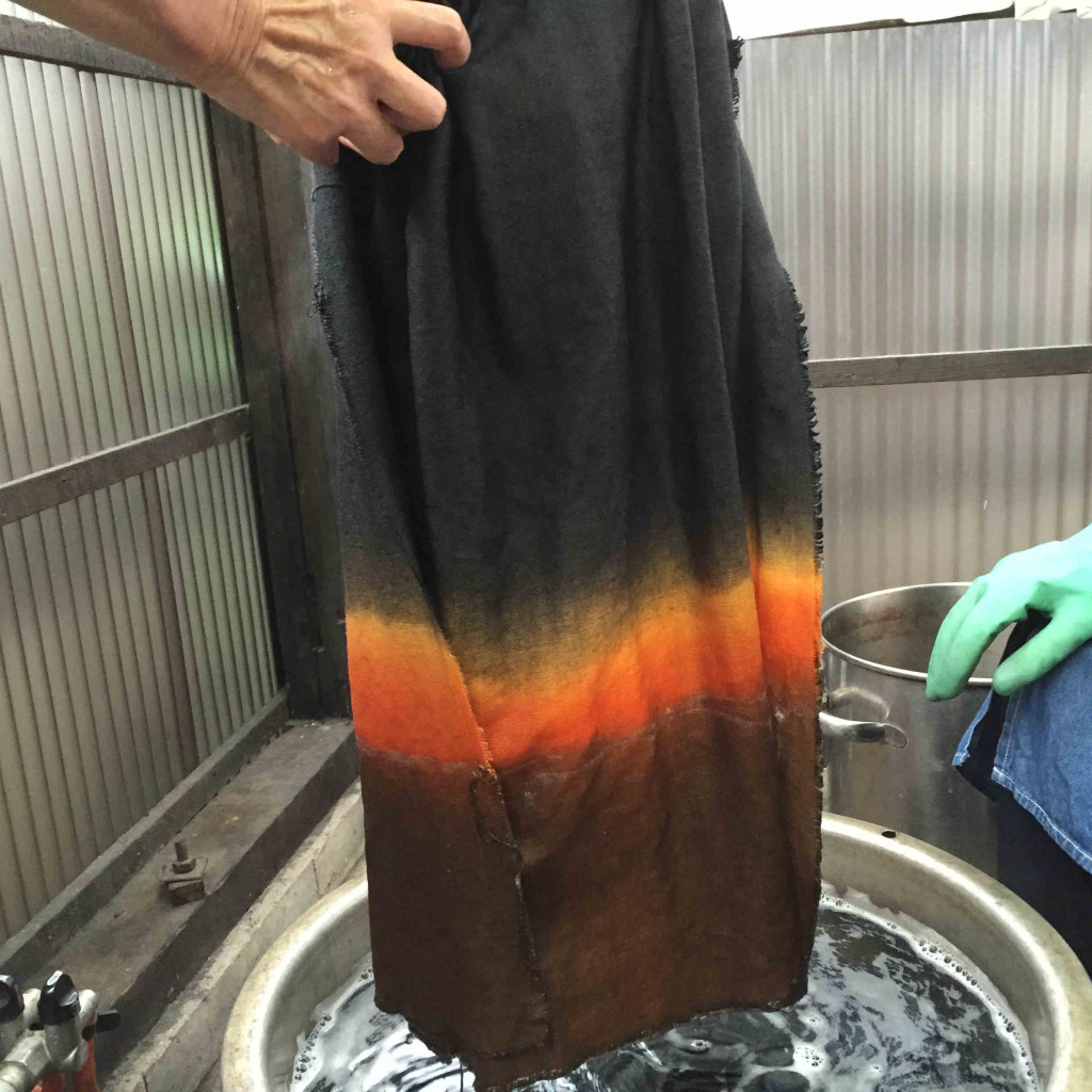 サルスベリ、キバナコスモス