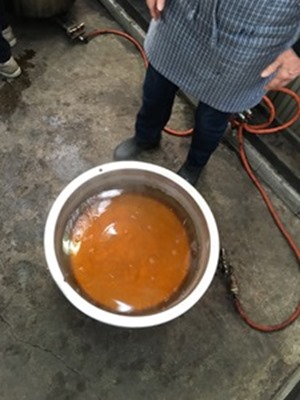 月桂樹、煮出した染液はオレンジ黄色