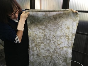 月桂樹で草木染した布