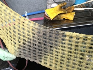 月桂樹で草木染したストール