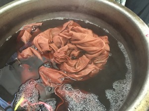 イヌ槇で草木染すると赤茶色、レンガ色