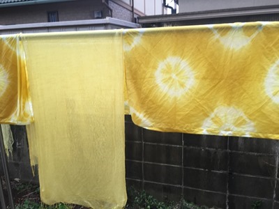 蝋梅（ろうばい）で草木染した綿とシルク