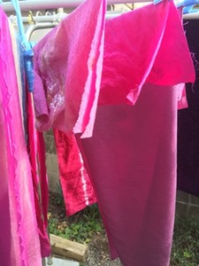 ウメノキゴケで草木染するとシルクやウールは赤紫色 ウメノキゴケで草木染するとシルクやウールは赤紫色