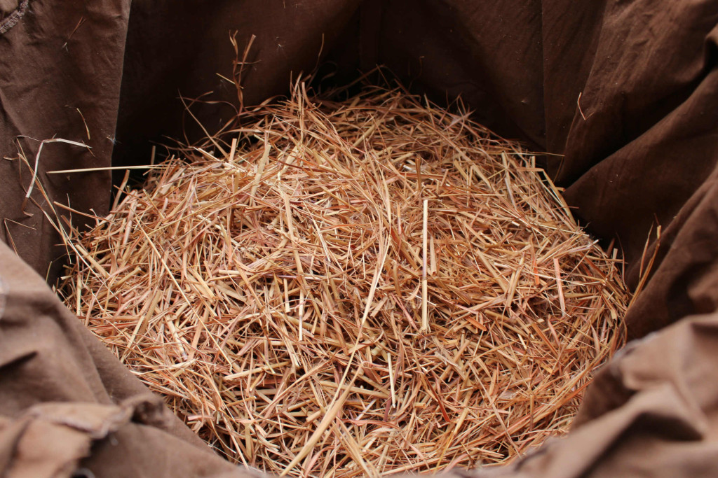 草木染 メリケンカルカヤ