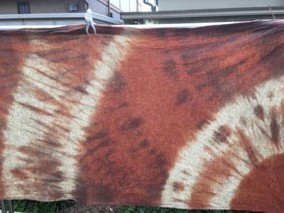 八重桜で草木染。綿布