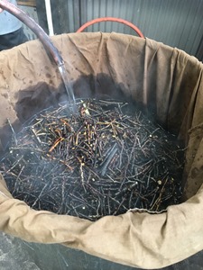 桜の枝で草木染、枝を煮出します