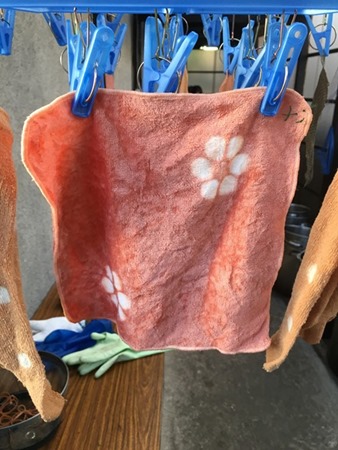 桜で草木染したミニタオル