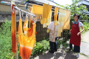 オオキンケイギク（特定外来種）を染める～草木染研究会