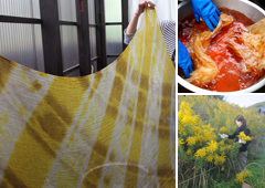 ののはな草木染アカデミー京都本部教室