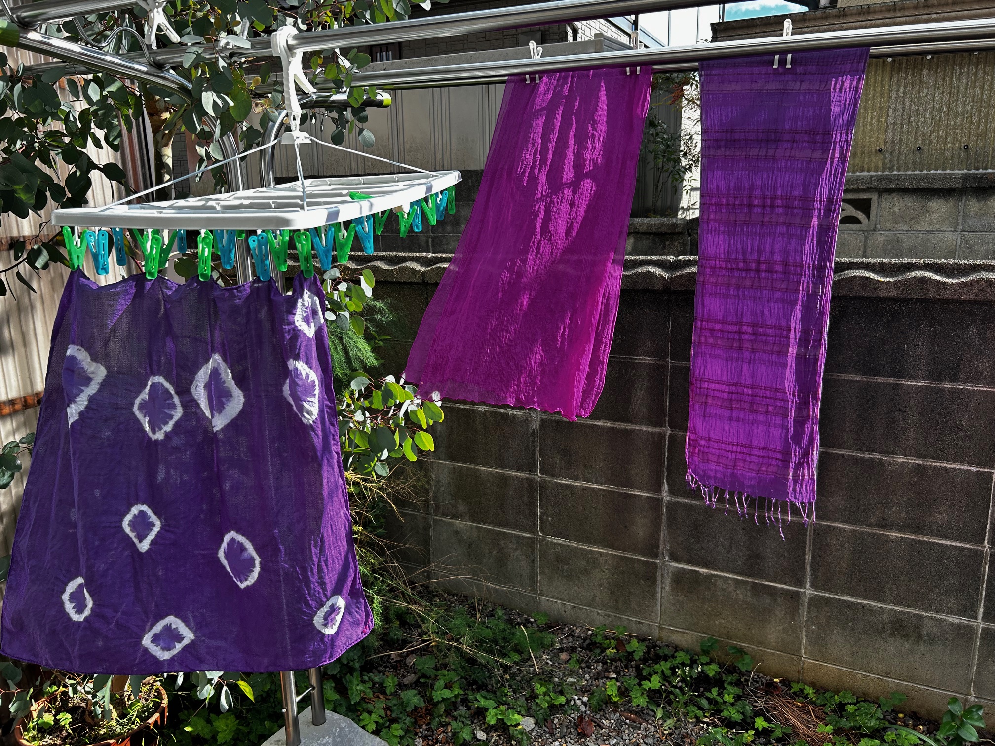 ウメノキゴケ染め