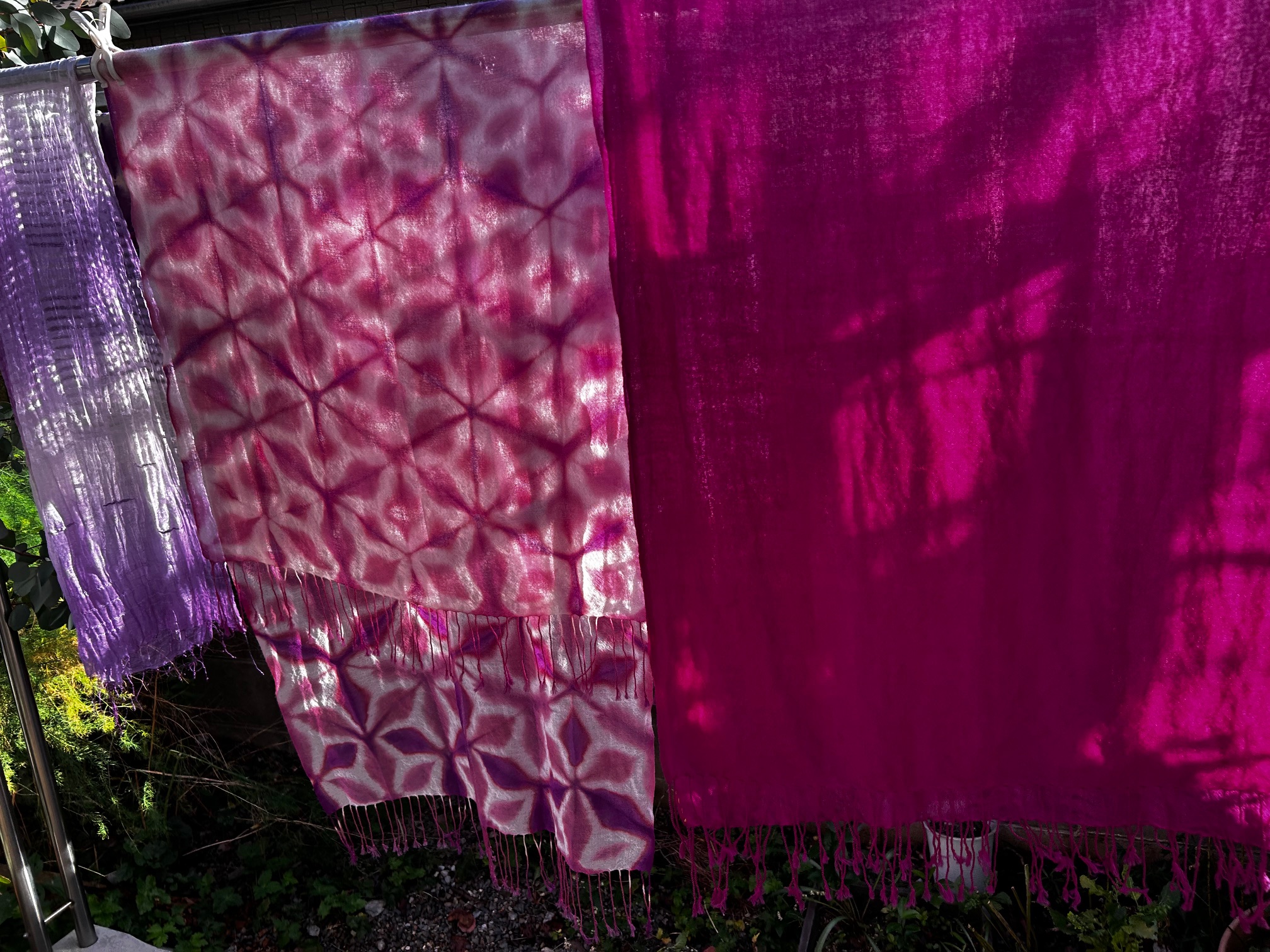 ウメノキゴケ染め